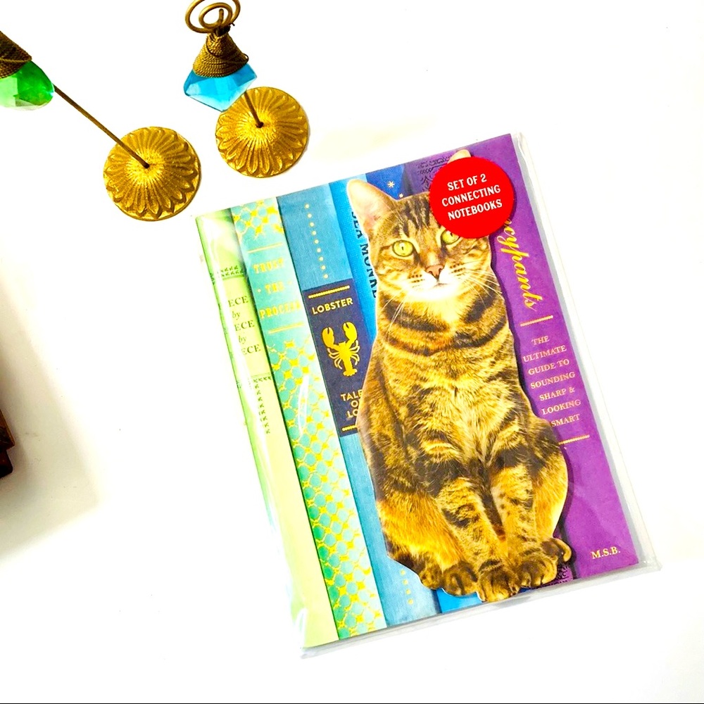 Rainbow Tabby Cat Notebook Set by Galison New